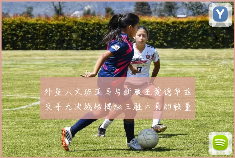 外星人文班亚马与新狼王爱德华兹交手九次战绩揭秘三胜六负的较量分析