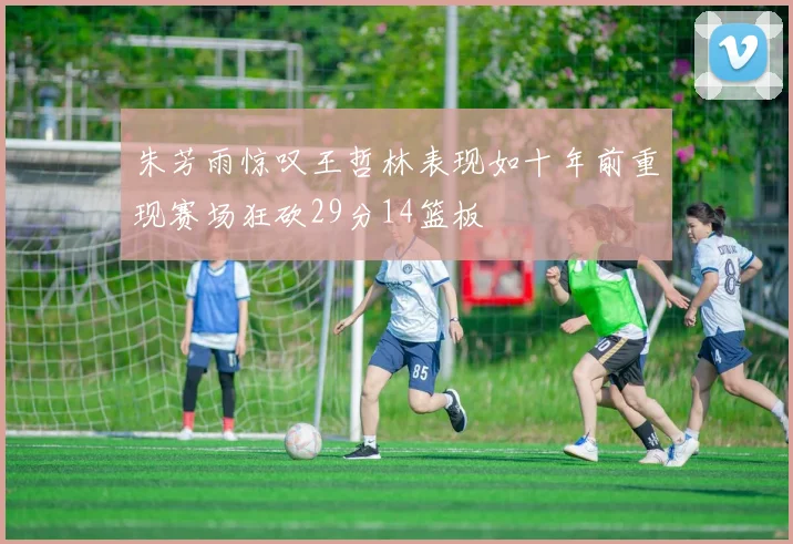 朱芳雨惊叹王哲林表现如十年前重现赛场狂砍29分14篮板
